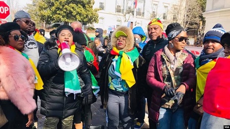 Quelques membres de la diaspora camerounaise manifestent à Paris, France, le 1er février 2019. (VOA)