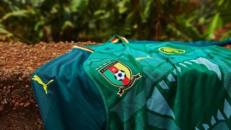 Des maillots du Cameroun des Lions Indomptables 